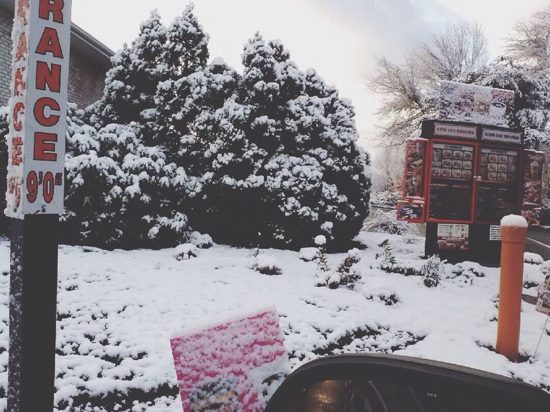 snow, cold temperature, winter, season, weather, tree, building exterior, built structure, architecture, covering, frozen, bare tree, street, car, transportation, outdoors, nature, road, house, land vehicle