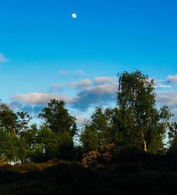 sky