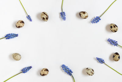 Directly above shot of various objects on white background