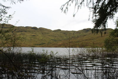 Scenic view of river against sky