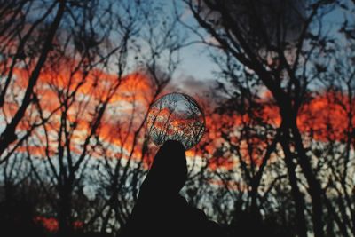 Silhouette person by bare trees in forest during sunset