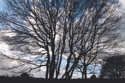 Low angle view of silhouette bare trees against sky