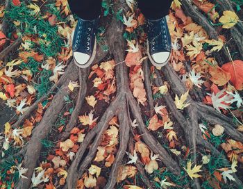 Low section of man standing on autumn leaves