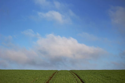 Scenic view of field against sky