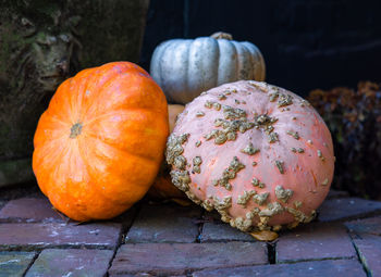 Outdoor still life