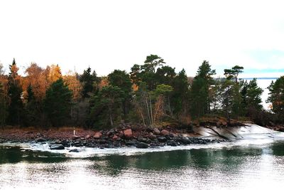 Scenic view of lake with trees in background