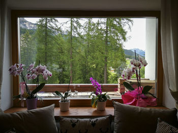Flower vase on table by window at home