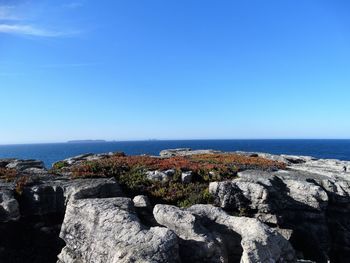 Scenic view of sea against clear blue sky