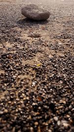 High angle view of stones on wet road