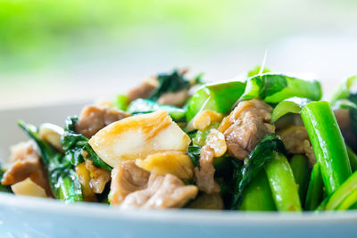 Close-up of meal served in plate