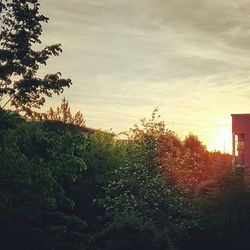 Scenic view of field against sky at sunset