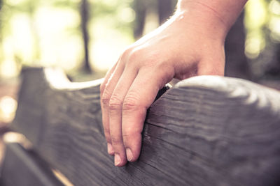 Cropped hand of person on wooden bench