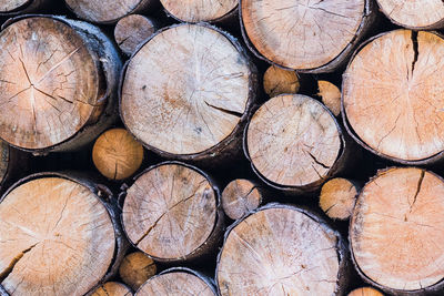 Full frame shot of logs in forest