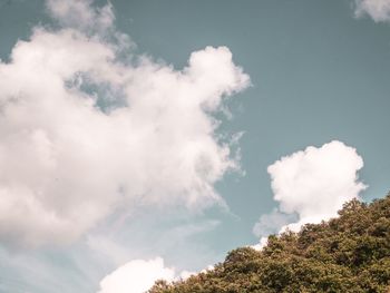 Low angle view of trees against sky