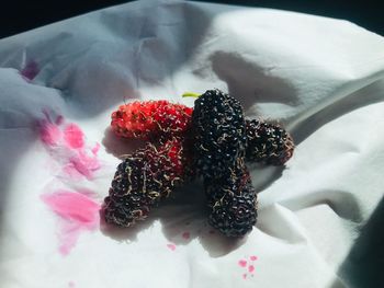 High angle view of strawberries on plate