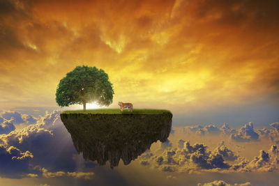 Bird perching on tree against sky during sunset