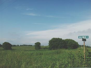 Scenic view of grassy field against cloudy sky