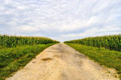 Empty road amidst plants against cloudy sky