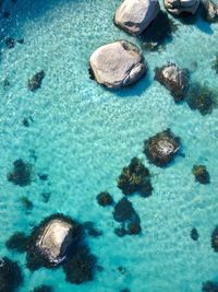 Close-up of rocks in swimming pool