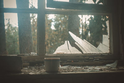 Close-up of tree window