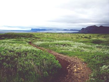 Scenic view of grassy field against cloudy sky