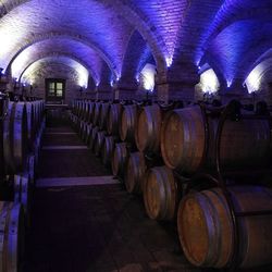 Row of wine bottles in shelf