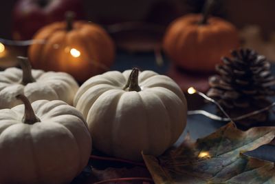 Close-up of pumpkins