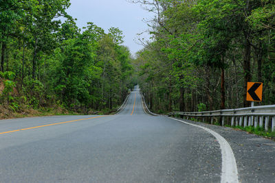 Empty road amidst trees