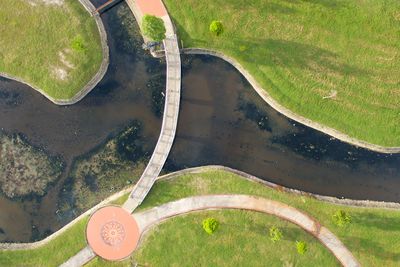 High angle view of grass in water