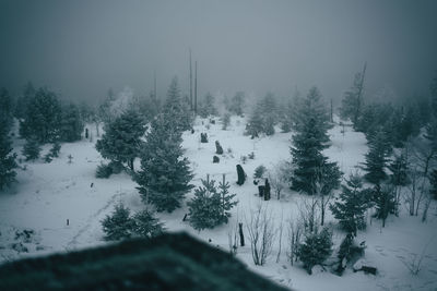 Trees by lake against sky during winter