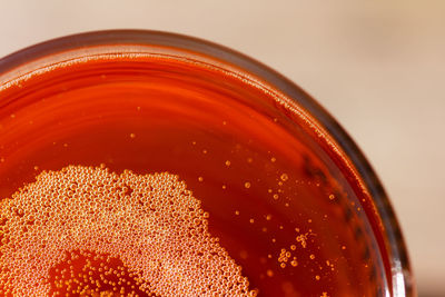 Close-up of drink in glass