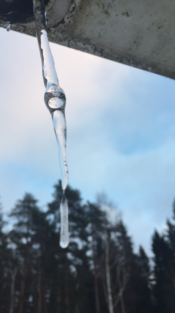 cold temperature, winter, snow, weather, frozen, nature, tree, ice, outdoors, day, icicle, beauty in nature, no people, sky, close-up