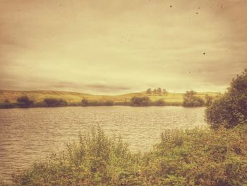 Scenic view of landscape against sky