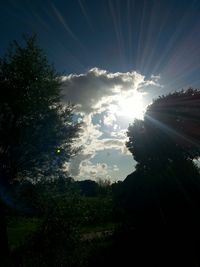 Low angle view of silhouette trees against sky