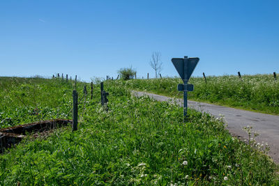 Scenic view of field against clear blue sky