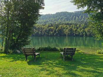 Empty bench in park by lake