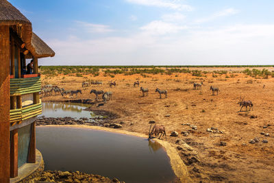 Scenic view of landscape and sea against sky