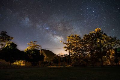 Trees against sky at night