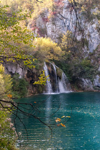Scenic view of waterfall in forest