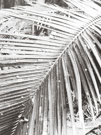 Full frame shot of built structure