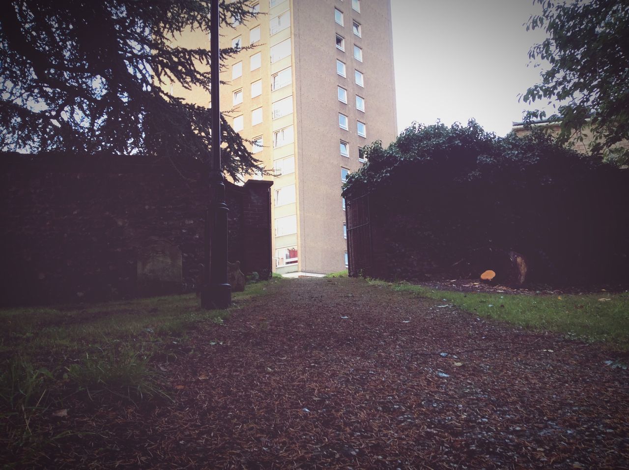 architecture, building exterior, built structure, tree, house, residential structure, grass, building, window, day, residential building, outdoors, growth, sky, abandoned, no people, door, field, plant, wall - building feature