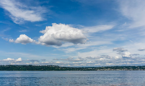 Clouds that look like cotton candy hang over the puget sound in washington state.