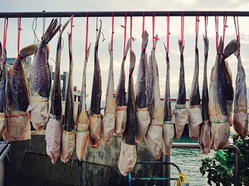 Panoramic view of fish for sale at market stall