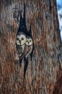 Close-up of bird perching on tree trunk