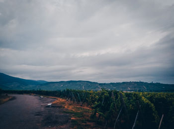 Scenic view of landscape against sky