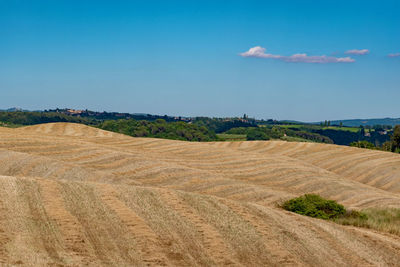 Scenic view of agricultural field against blue sky