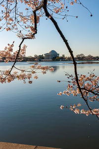 Scenic view of lake against clear sky