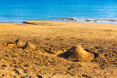 Sandy figures on the beach . golden sand coast