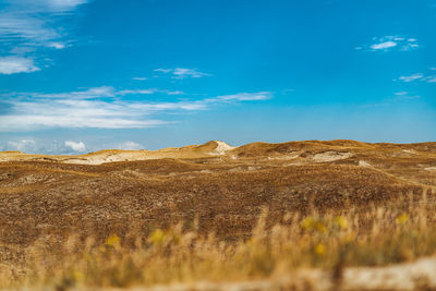 Lihuanian dunes
