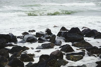 Rocks on beach